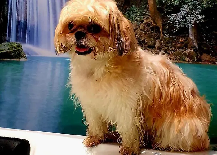 Rincon Do Mar Entre Mares * A Guarda